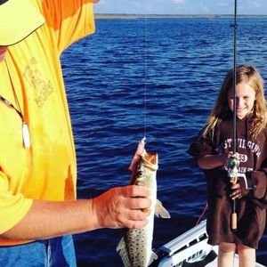 Meet your Posher, Wes